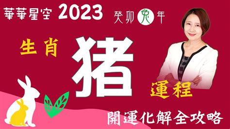 豬 2023 運勢|【豬】2023 生肖整體運勢